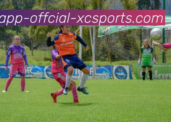 杏彩体育APP 体育赛事宣传图